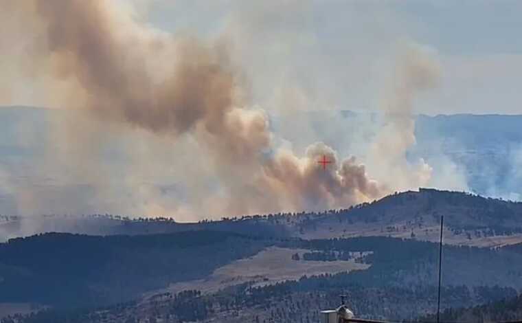 У РФ почалися лісові пожежі: полум’я охопило сотні гектарів