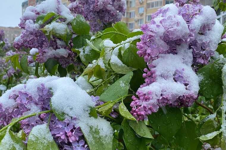 Росію після повеней і пожеж накрило потужними снігопадами