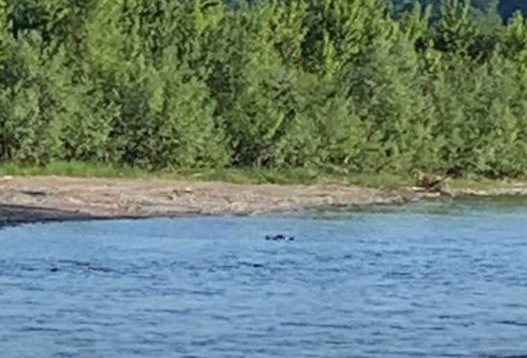 У Румунії виявили тіло чоловіка на березі Тиси, — ДПСУ