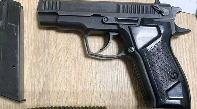 У Чернігові чоловік на автостоянці вистрелив у собаку