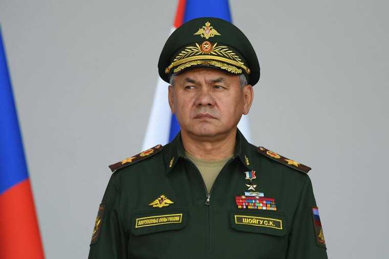 Putin fired Shoigu from the post of Russian Defence Minister
