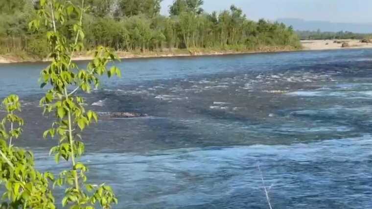 Рятувальники виловили ще одне тіло потопельника в Тисі