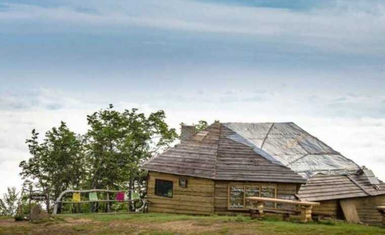 Владелица чайной на Закарпатье опубликовала гомофобное объявление о поиске работников