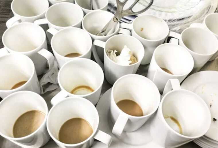 Foodicine: годівниця для обраних