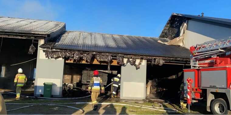 A Ukrainian was killed with particular cruelty in Poland, - Polish media