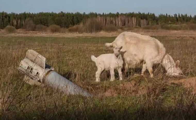 Як притягнути російських окупантів до відповідальності за екоцид в Україні