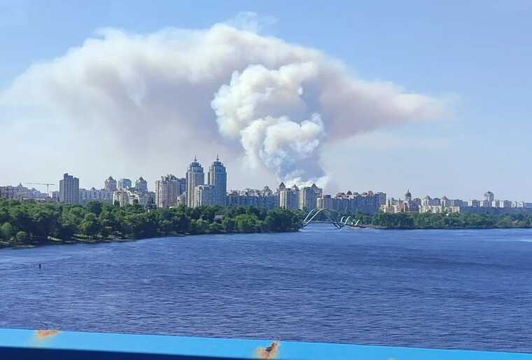 Під Києвом виникла сильна пожежа: над лісом здійнявся великий стовп диму