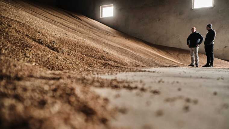 Под чьим прикрытием идет «черный экспорт зерновых»?