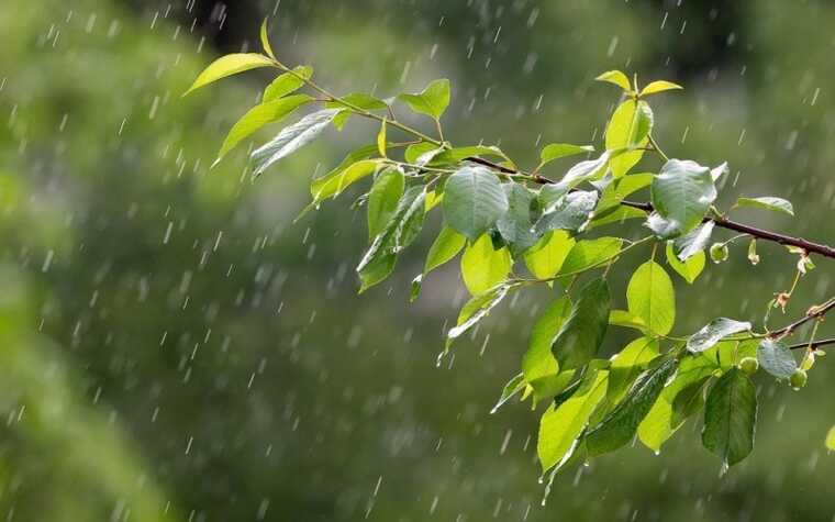 В Україні оголошено перший рівень метеорологічної небезпеки, – Укргідрометцентр