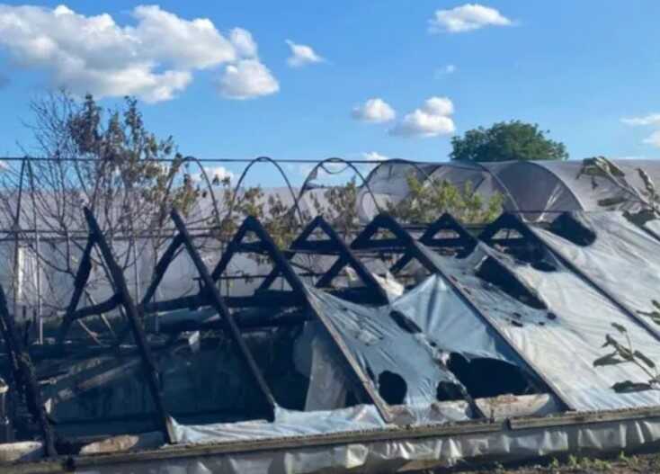 На Київщині на равликовій фермі сталася масштабна пожежа