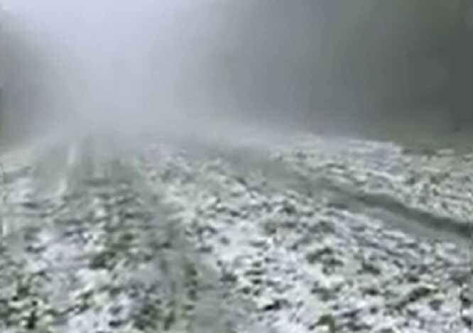 На Тернопільщині дорогу засипало градом: у мережі показали відео