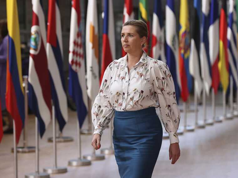 В Дании арестовали нападавшего на премьера: им оказался поляк