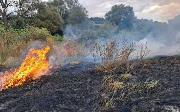 На Харківщині згоріла жінка, яка спалювала сухостій