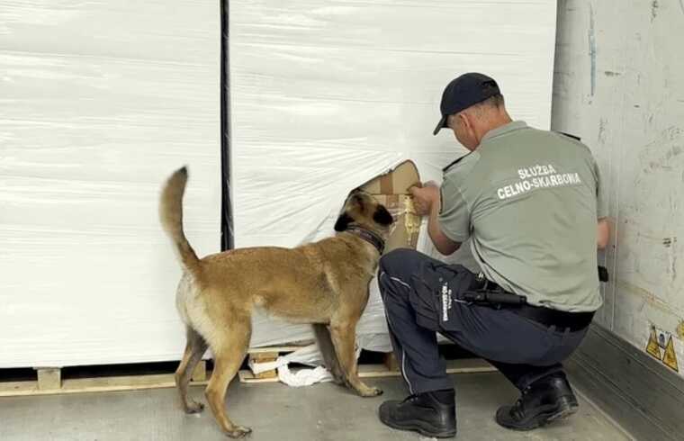 У Польщі перехопили півмільйона пачок контрабандних сигарет з Росії