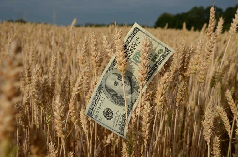 Імітація боротьби: як провертають зернові схеми на експорті з України