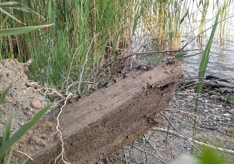 В Одеській області на березі Дунаю знайшли фрагменти старовинного корабля