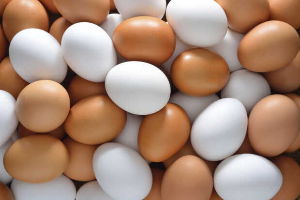 The EU is preparing to return duties on eggs from Ukraine