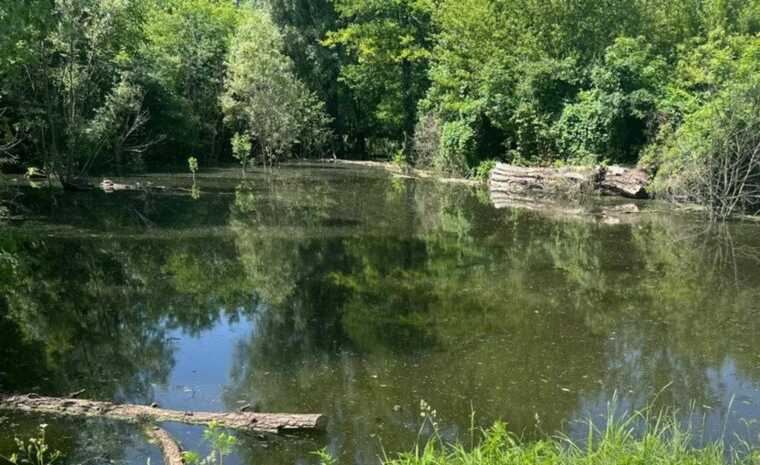 На Київщині у ставку втопився 2-річний хлопчик