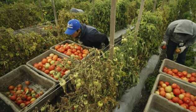 В Італії планують посилити боротьбу з експлуатацією трудових мігрантів