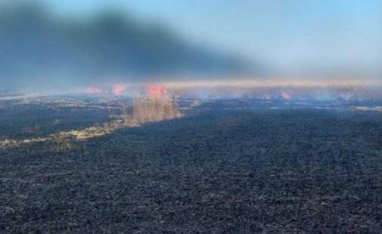 Окупанти завдали удару "Ісканедром" по Одещині