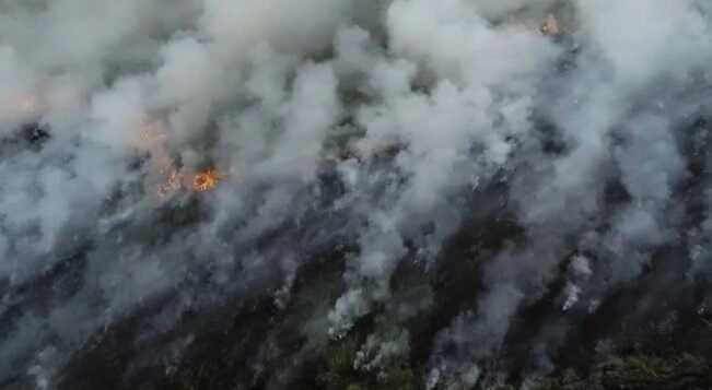 У РФ вирують масшабні лісові пожежі