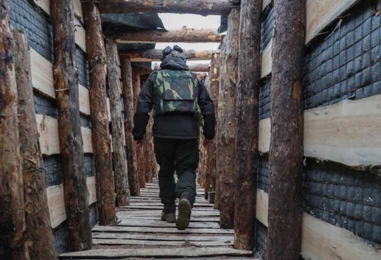 Деревину для фортифікацій на Харківщині постачали компанії з ознаками фіктивності