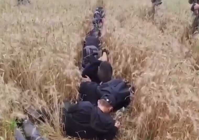 Пограничники задержали 10 мужчин, пытавшихся бежать из Украины по пшеничному полю