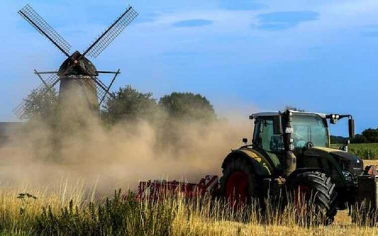 В Україні через спеку може постраждати врожай