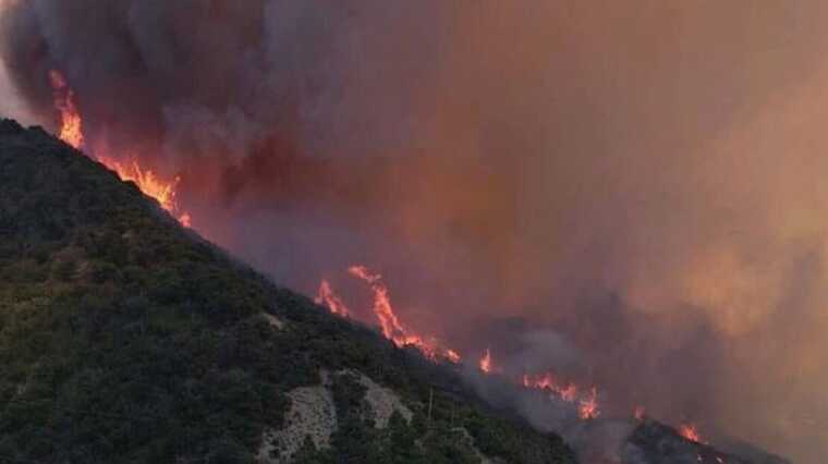 У Краснодарському краї РФ горять поля та ліси: оголошено режим НС