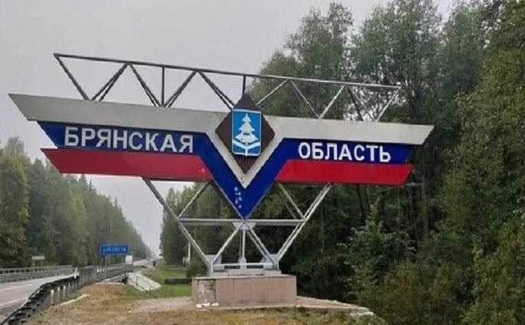 У Брянській області РФ скаржаться на масовану атаку безпілотників