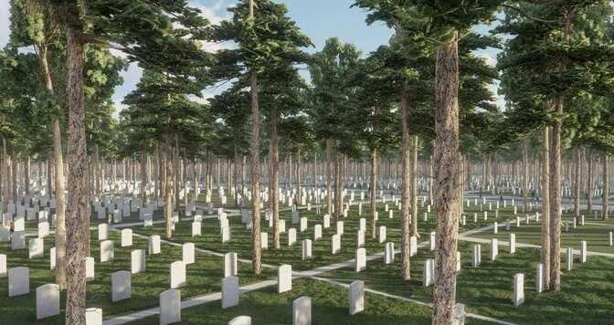 У Мінветеранів обмірковують створення філії Національного військового кладовища в кожному регіоні