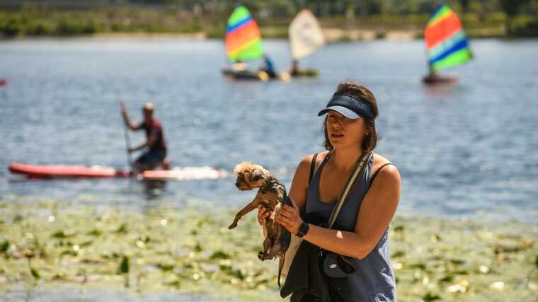 В Украину идет новая волна жары