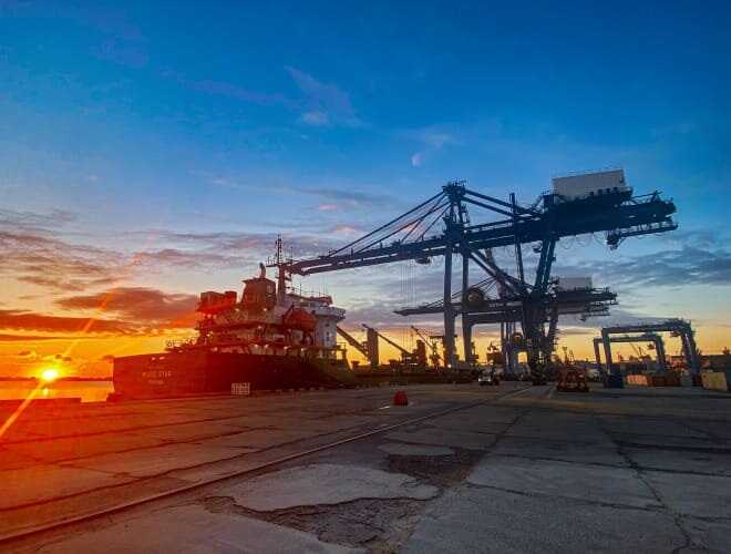 Український зернотрейдер «Дунайська Логістична Група» ухилився від сплати 19,6 мільйона гривень податків