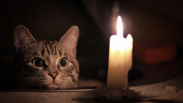 "Жителям Криму варто запасатися генераторами": будуть проблеми зі світлом