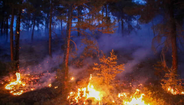 В Турции в пяти провинциях бушуют лесные пожары