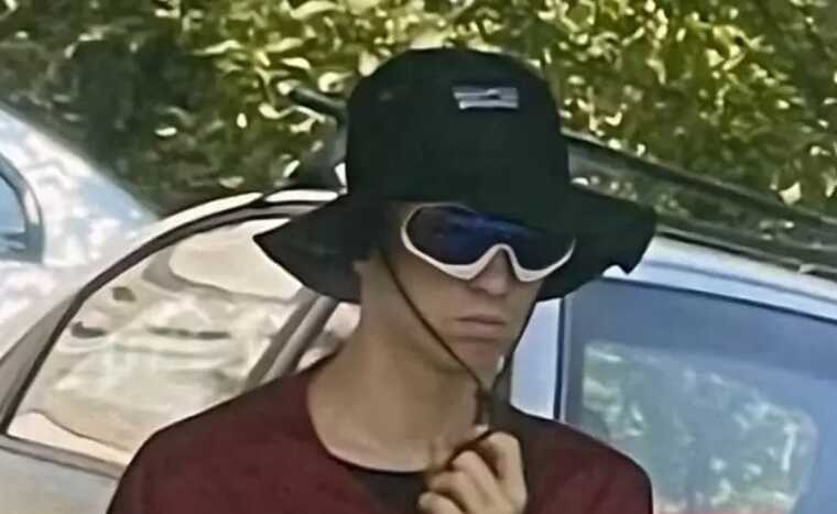 Zelenskyy: A suspect in the murder of Iryna Farion was detained in Dnipro