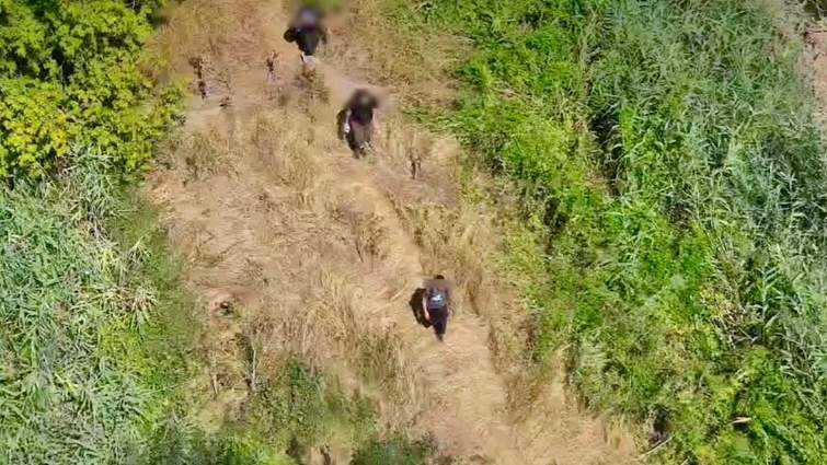 Three men detained in Odesa region for attempting to escape to Moldova