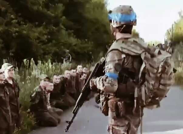 DeepState           29 