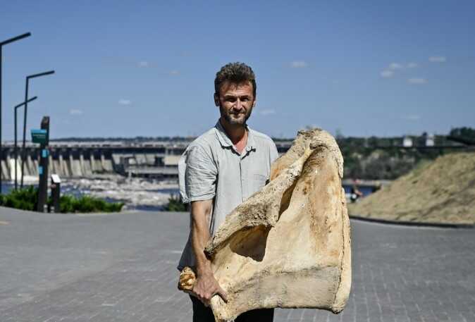 На околицях Запоріжжя знайшли кістки мамонта, яким близько 10 000 років