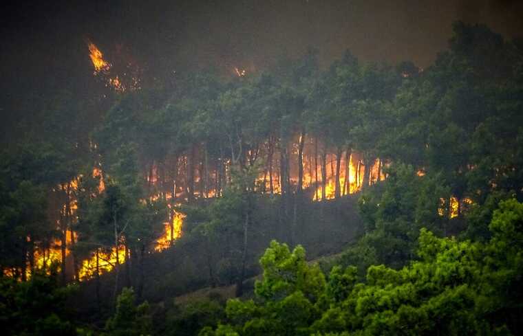 У Греції третій день вирують потужні лісові пожежі