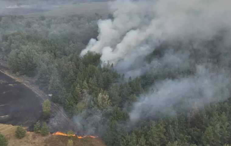 У Харківській області понад добу гасять масштабну лісову пожежу