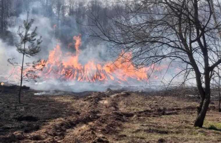 На острове Труханов в Киеве произошел пожар
