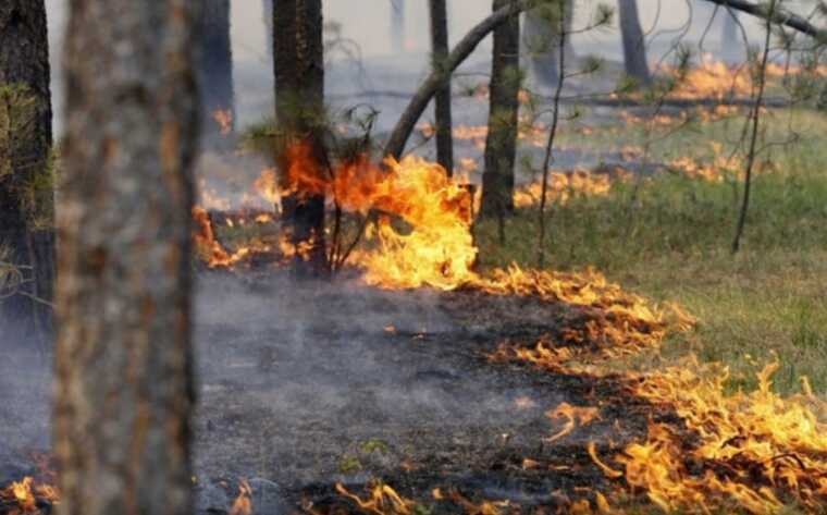 В двух районах столицы обломки упали в лесопарковых зонах: возникли пожары