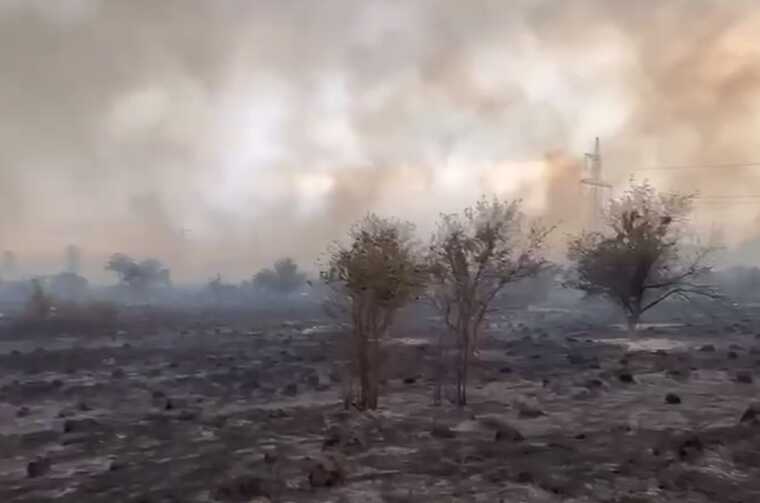 У Харківській області продовжують горіти ліси