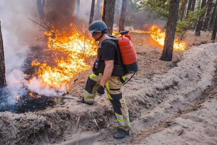 Вогнеборці Харківщини локалізували масштабну лісову пожежу