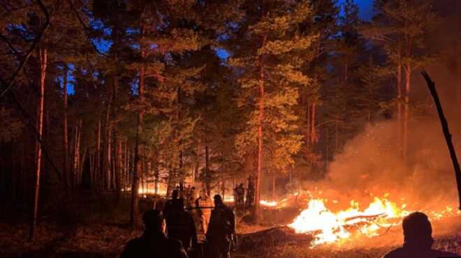 На Бєлгородщині вирують масштабні пожежі