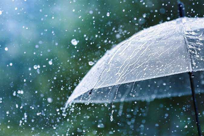 У Києві та області оголошено штормове попередження