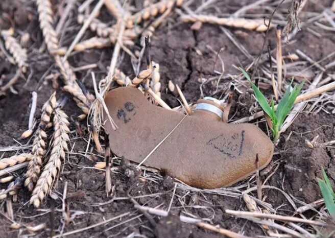 Росіяни на Харківщині почали використовувати протипіхотні міни нового зразка