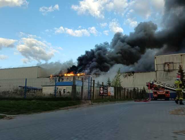 У польському місті на сміттєзвалищі сталася велика пожежа