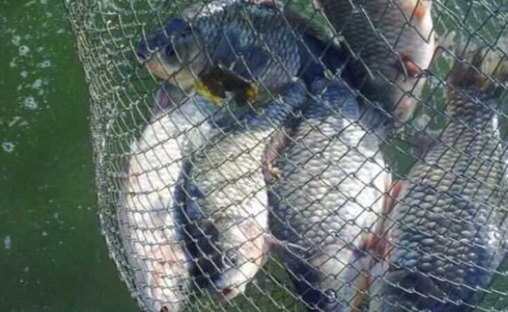 На Хмельниччині засудили браконьєра, який на території заповідника ловив рибу сіткою